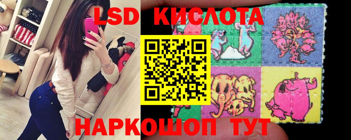 МЕФ Тольятти