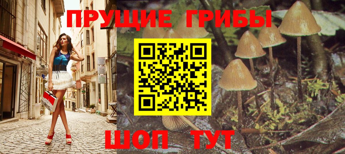 Псилоцибиновые грибы мицелий  Галлюциногенные грибы Psilocybe  Вход с VPN  Тольятти 