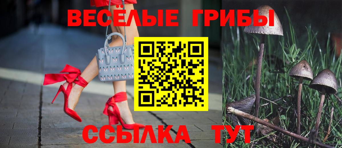 Галлюциногенные грибы Psilocybine cubensis Тольятти